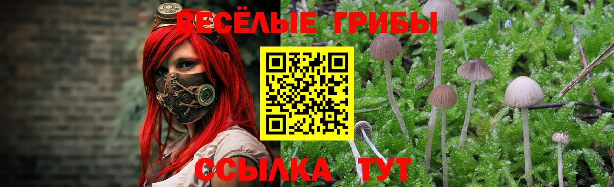 Галлюциногенные грибы ЛСД  Вход с VPN  Псилоцибиновые грибы Magic Shrooms  Магнитогорск 